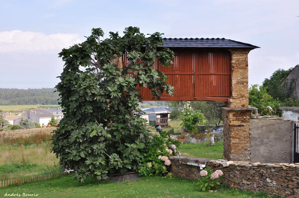 Apartamentos A Palleira Barreiros Esterno foto